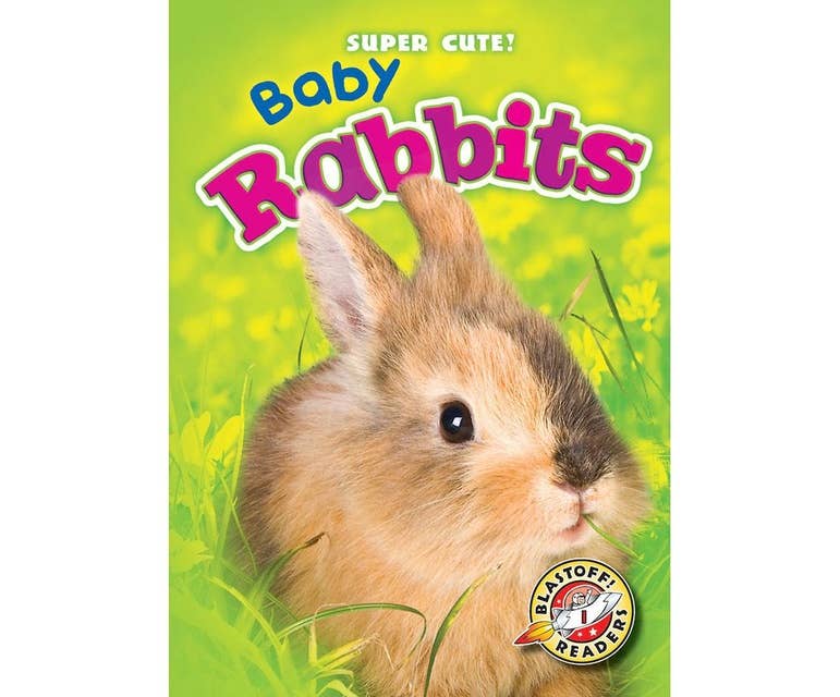 Baby Rabbits: Blastoff! Readers: Level 1