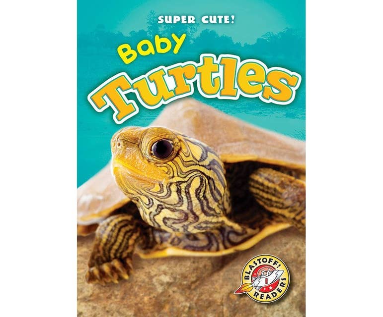Baby Turtles: Blastoff! Readers: Level 1