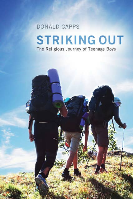 Striking Out: The Religious Journey of Teenage Boys