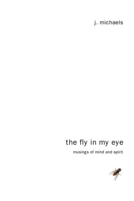 The Fly in My Eye: Musings of Mind and Spirit