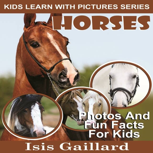 Horses: Photos and Fun Facts for Kids