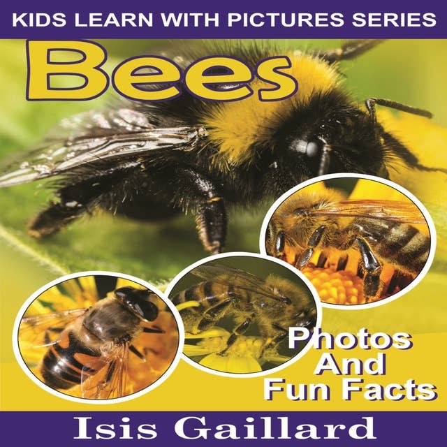 Bees: Photos and Fun Facts for Kids