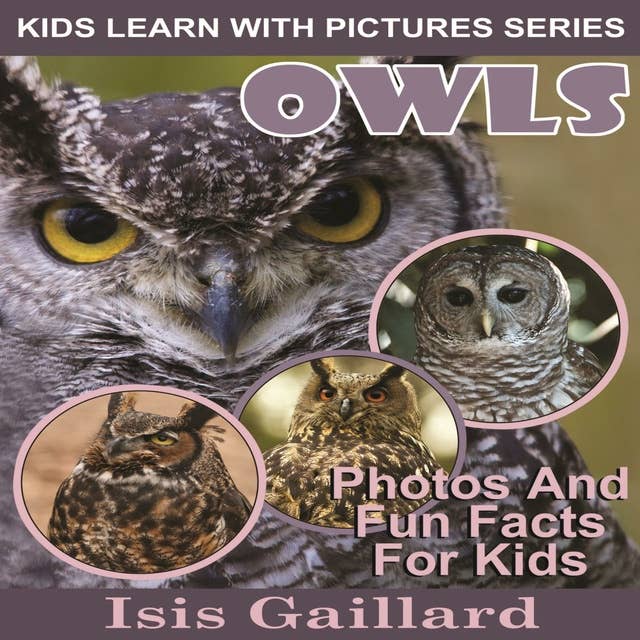 Owls: Photos and Fun Facts for Kids