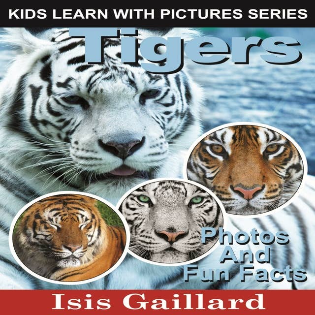 Tigers: Photos and Fun Facts for Kids
