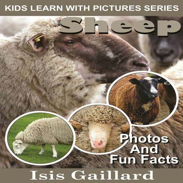 Sheep: Photos and Fun Facts for Kids