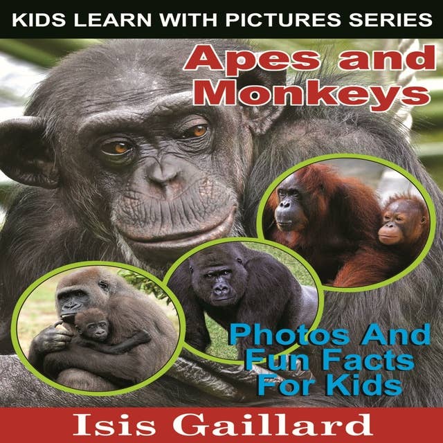 Apes and Monkeys: Apes and Monkeys: Photos and Fun Facts for Kids
