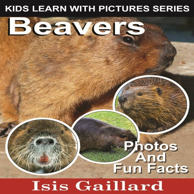 Beavers: Beavers: Photos and Fun Facts for Kids