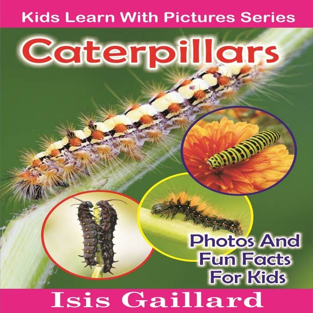 Caterpillars: Caterpillars: Photos and Fun Facts for Kids