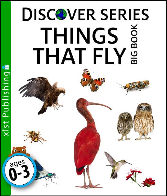 Things that Fly Big Book