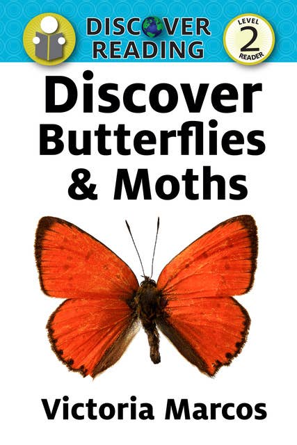 Discover Butterflies & Moths
