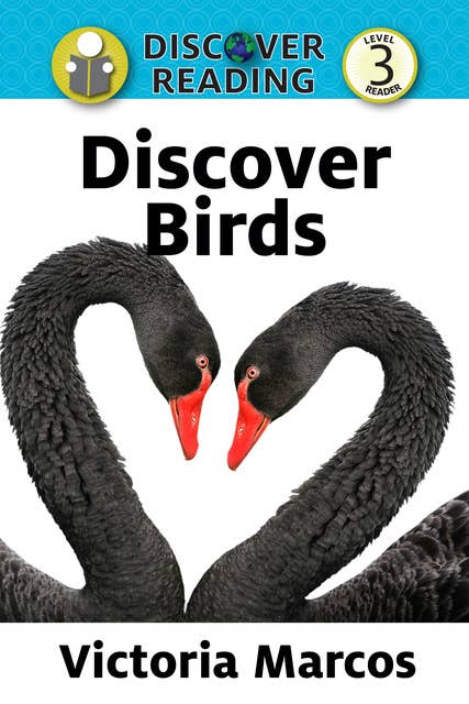 Discover Birds