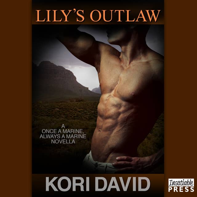 Lily's Outlaw: Once a Marine Always a Marine, Book 2