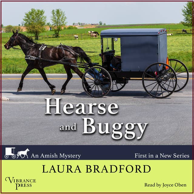 Hearse and Buggy: An Amish Mystery, Book One