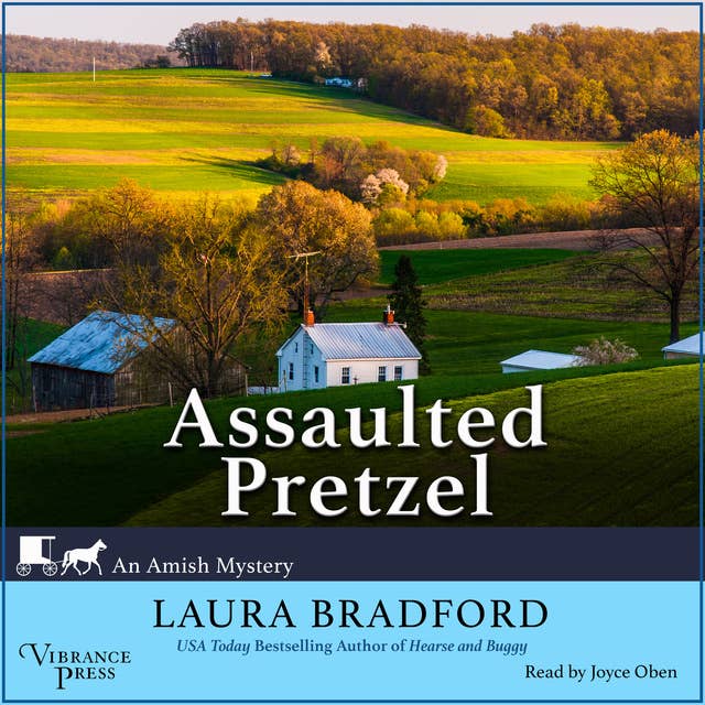 Assaulted Pretzel: An Amish Mystery, Book Two