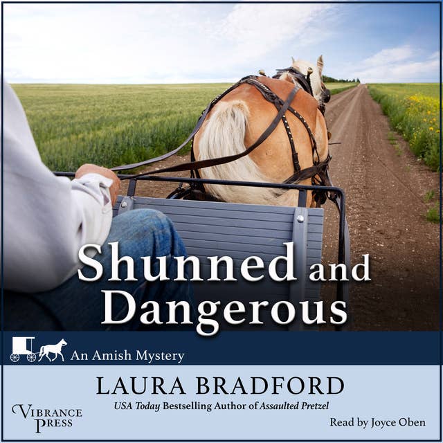 Shunned and Dangerous: An Amish Mystery, Book Three