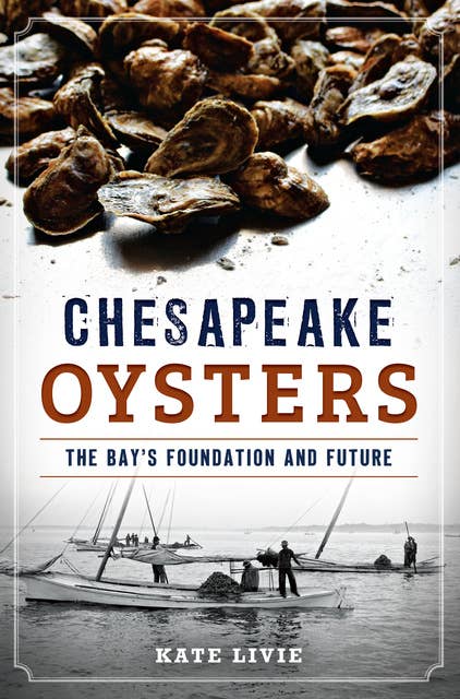 Chesapeake Oysters: The Bay's Foundation and Future