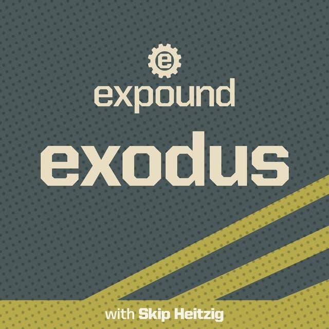 02 Exodus - 2011