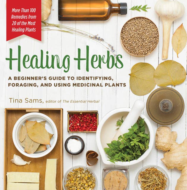 Healing Herbs: A Beginner's Guide to Identifying, Foraging, and Using Medicinal Plants