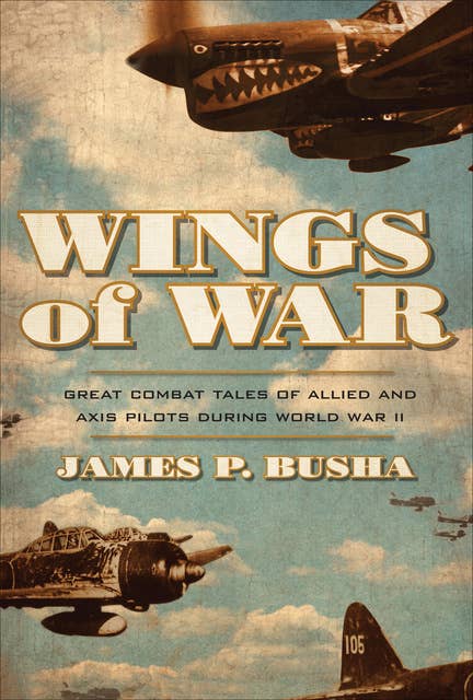 Wings of War: Great Combat Tales of Allied and Axis Pilots During World War II
