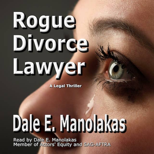 Rogue Divorce Lawyer: Legal Thriller