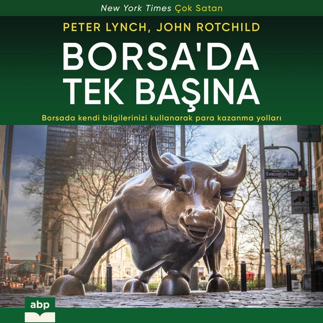 Borsa’da Tek Başına: Borsada kendi bilgilerinizi kullanarak para kazanma yolları by John Rotchild