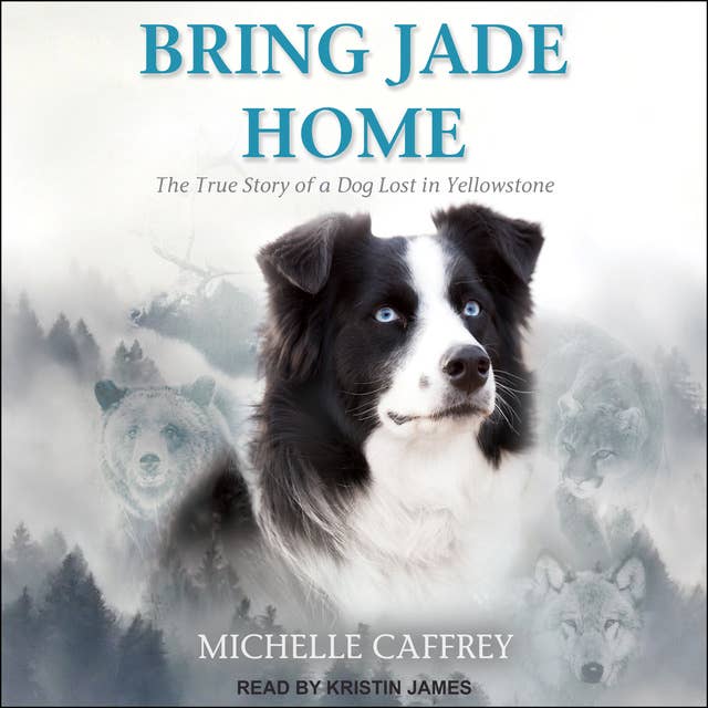 Cover for Bring Jade Home: The True Story of a Dog Lost in Yellowstone: The True Story of a Dog Lost in Yellowstone and the People Who Searched for Her