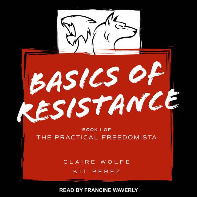 Basics of Resistance: The Practical Freedomista, Book I