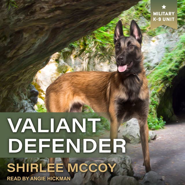Cover for Valiant Defender