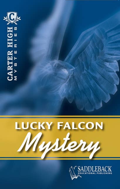 Lucky Falcon Mystery