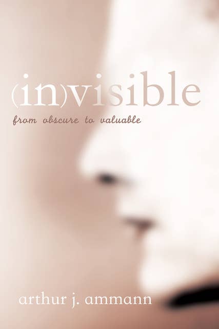 inVisible: From Obscure to Valuable