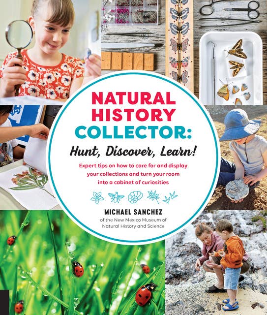 Natural History Collector: Hunt, Discover, Learn!: Expert Tips on how to care for and display your collections and turn your room into a cabinet of curiosities