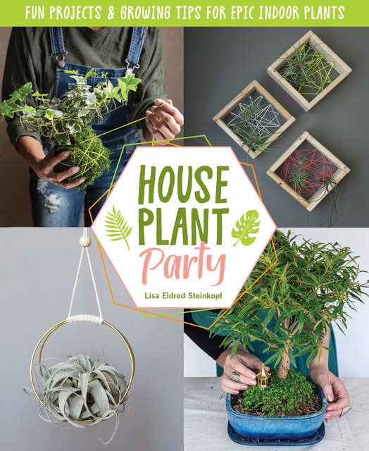 Creative Houseplant Projects: Easy Crafts and Growing Tips for Indoor Plants