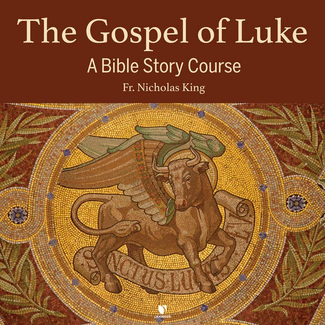 The Gospel of Luke: A Bible Story Course