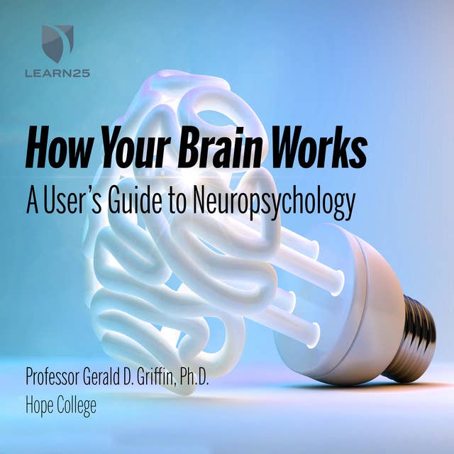 How Your Brain Works: A User's Guide to Neuropsychology