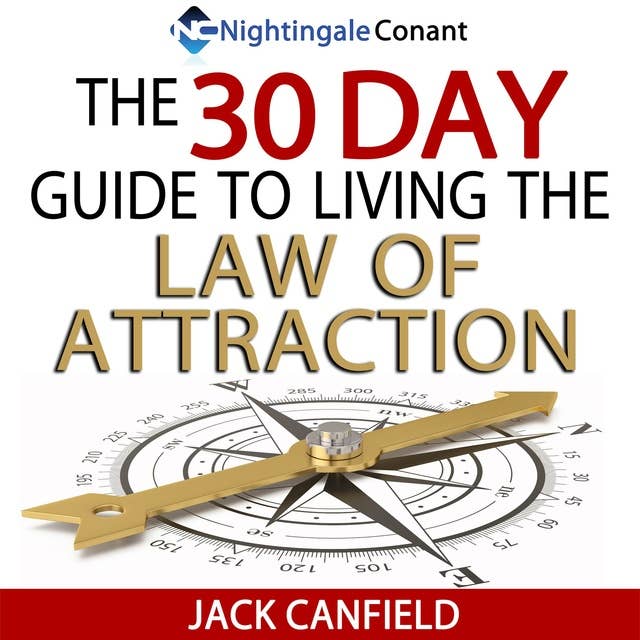 The 30 Day Guide to Living the Law of Attraction: Just say yes and begin your 30-day journey with action today