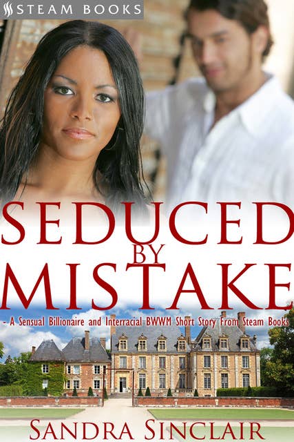Seduced by Mistake - A Sensual Billionaire and Interracial BWWM Erotic Romance from Steam Books