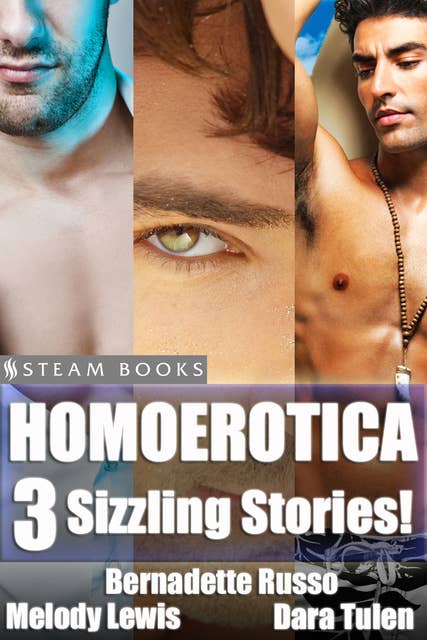 Homoerotica - A Sexy Bundle of 3 Gay M/M Erotic Stories from Steam Books