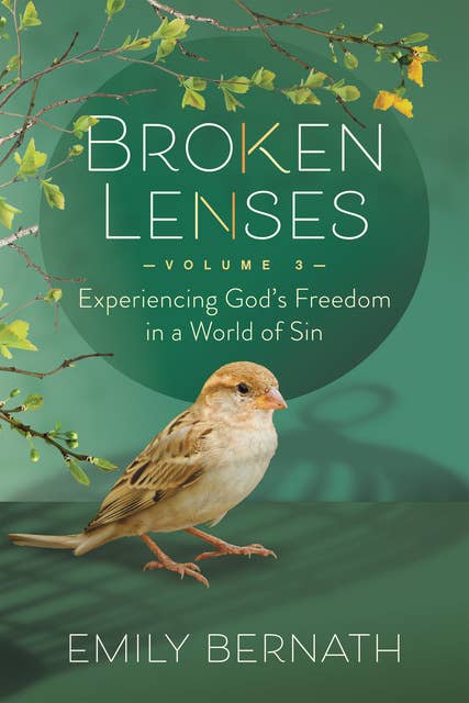 Broken Lenses Volume 3: Experiencing God’s Freedom in a World of Sin