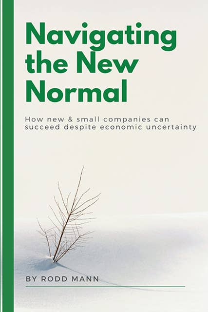 Navigating the New Normal: How New & Small Companies Can Succeed Despite Economic Uncertainty