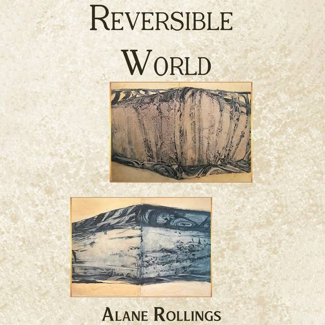 Reversible World