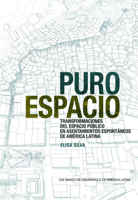 Pure Space (Spanish Edition): Expanding the Public Sphere through Public Space Transformations in Latin American Spontaneous Settlements