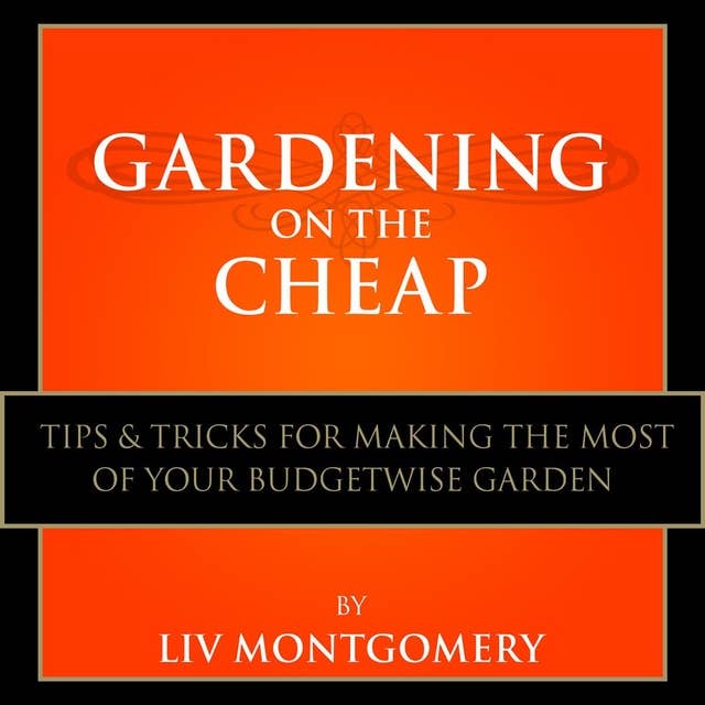 Gardening on the Cheap: Tips & Tricks for Making the Most of Your Kitchen Garden