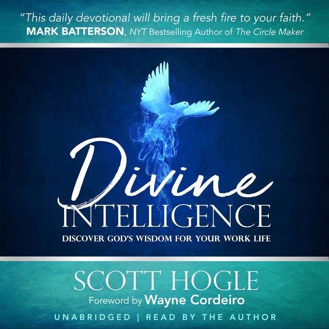 Divine Intelligence: Discover God's Wisdom for Your Work Life