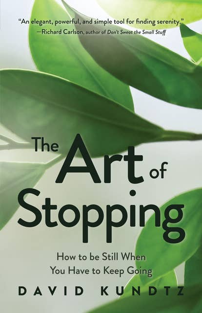 The Art of Stopping:: How to be Still When You Have to Keep Going