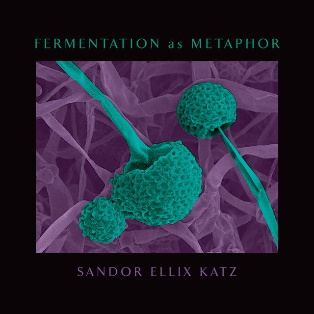 Fermentation as Metaphor: From the Author of the Bestselling "The Art of Fermentation"
