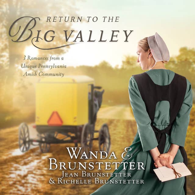 Cover for Return to the Big Valley