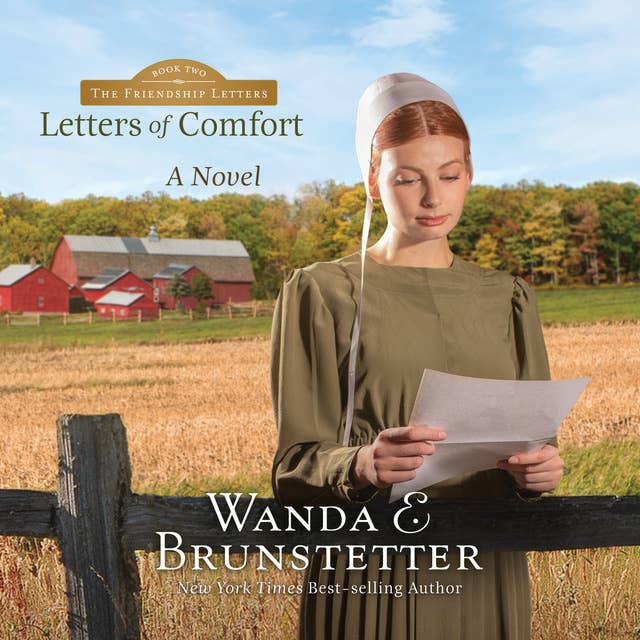 Letters of Comfort: A Novel
