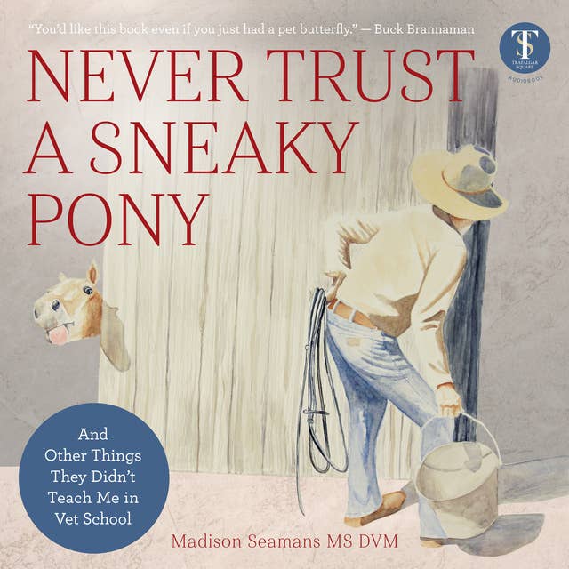 Never Trust a Sneaky Pony: And Other Things They Didn't Teach Me in Vet School