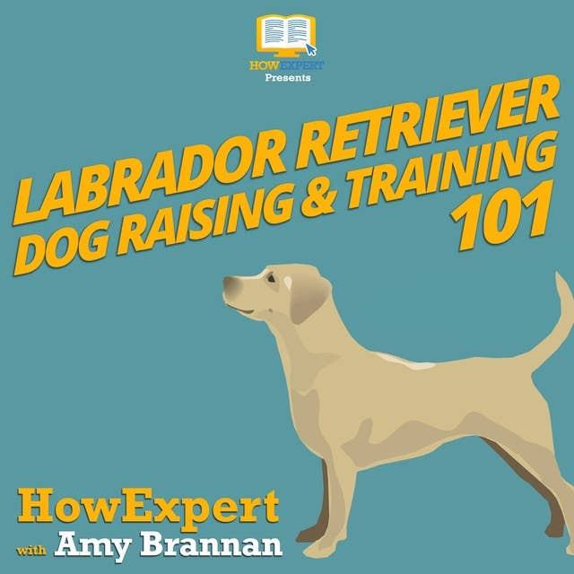 Labrador Retriever Dog Raising & Training 101