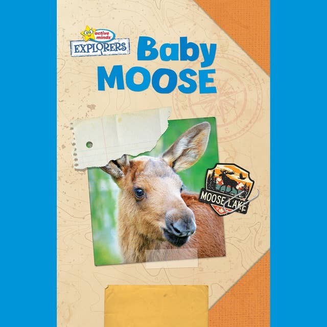 Active Minds Explorers: Baby Moose